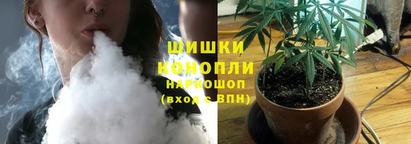ПСИЛОЦИБИНОВЫЕ ГРИБЫ Балахна