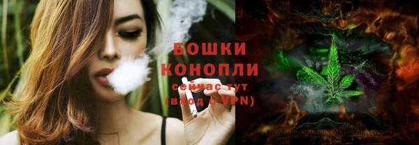 ПСИЛОЦИБИНОВЫЕ ГРИБЫ Балахна