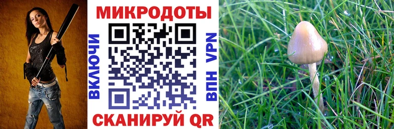 Псилоцибиновые грибы Cubensis  Купить где  Лебедянь 